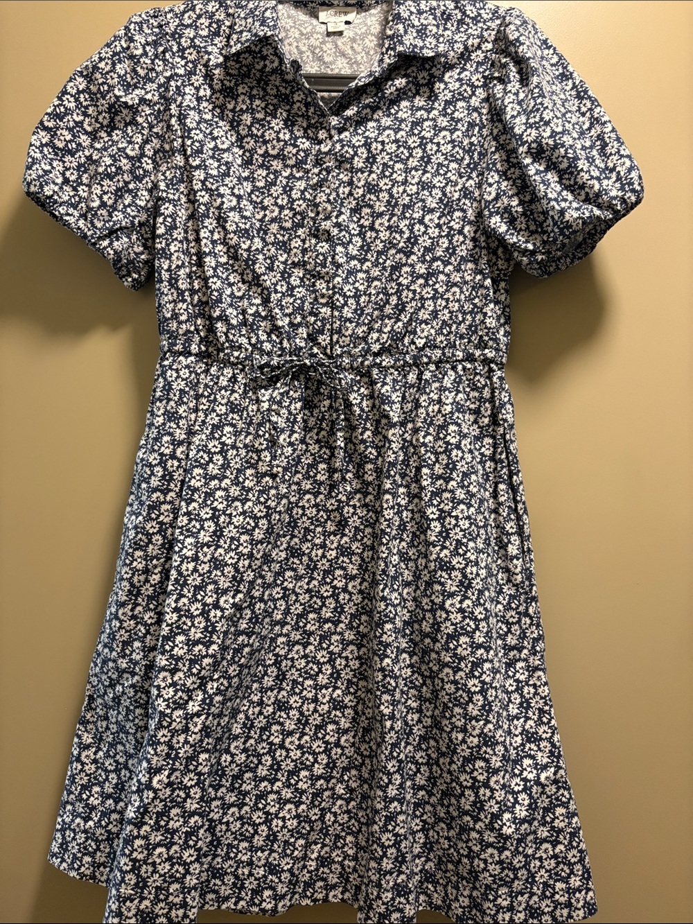 J. Crew Blue and White Floral Tie-Waist Mini Dress